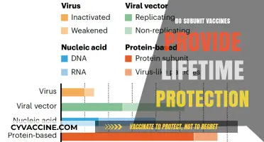 Subunit Vaccines: Do They Offer Lifelong Immunity or Require Boosters?