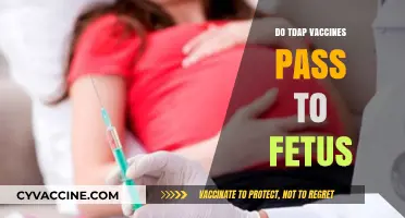 Can Tdap Vaccines Be Safely Administered During Pregnancy?