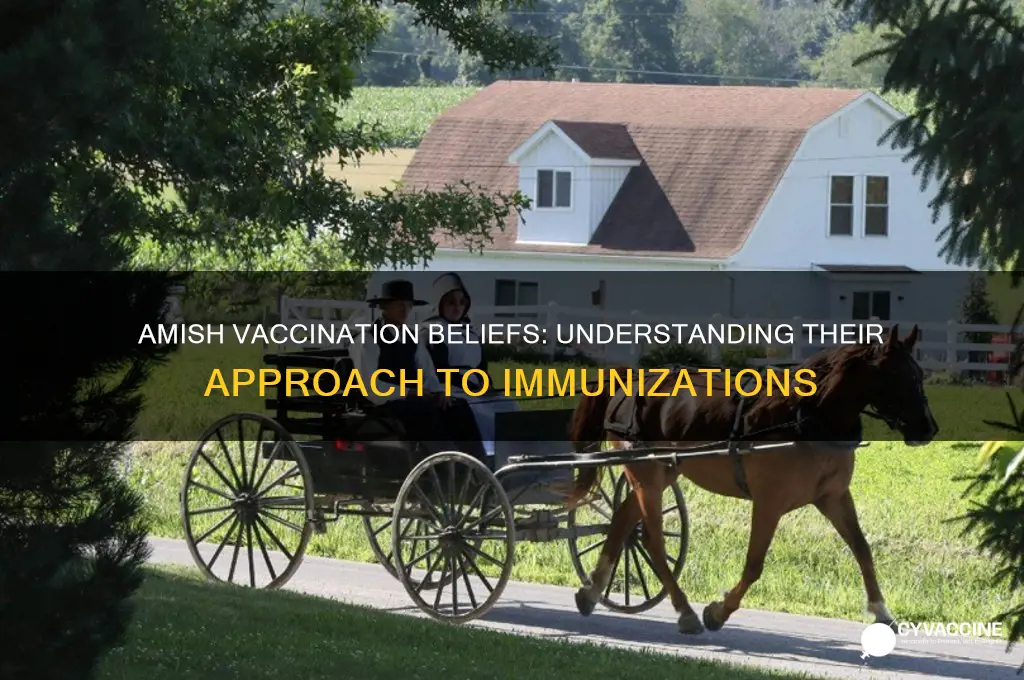 do the amish believe in vaccinations