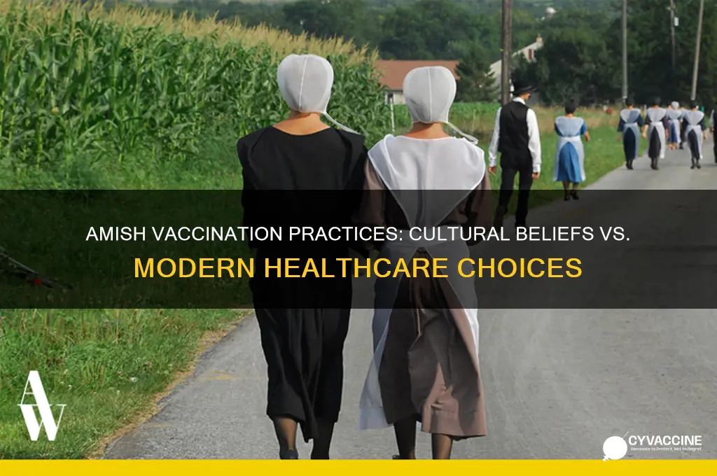do the amish vaccinate their kids