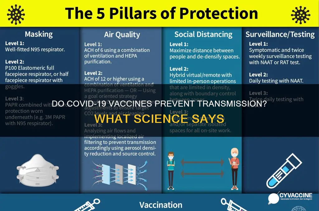do the coronavirus vaccines stop transmission