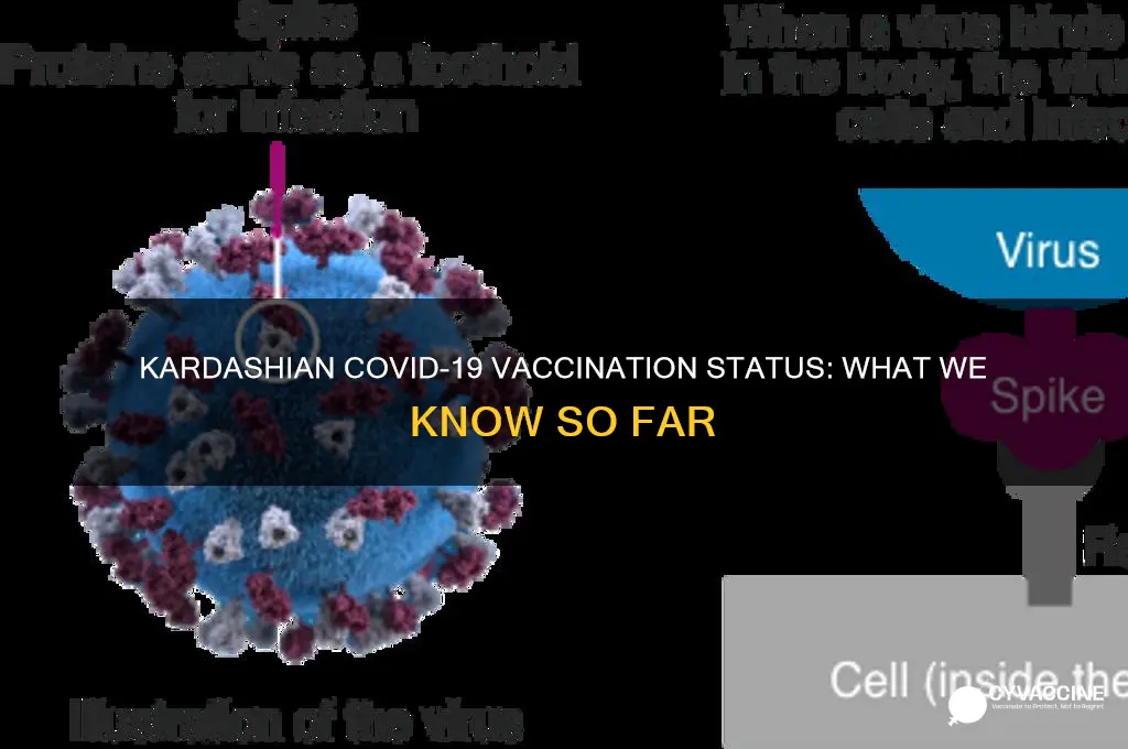 do the kardashians have the vaccine