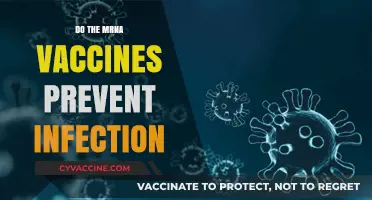 Do mRNA Vaccines Prevent Infection? Unraveling the Science Behind COVID-19 Protection