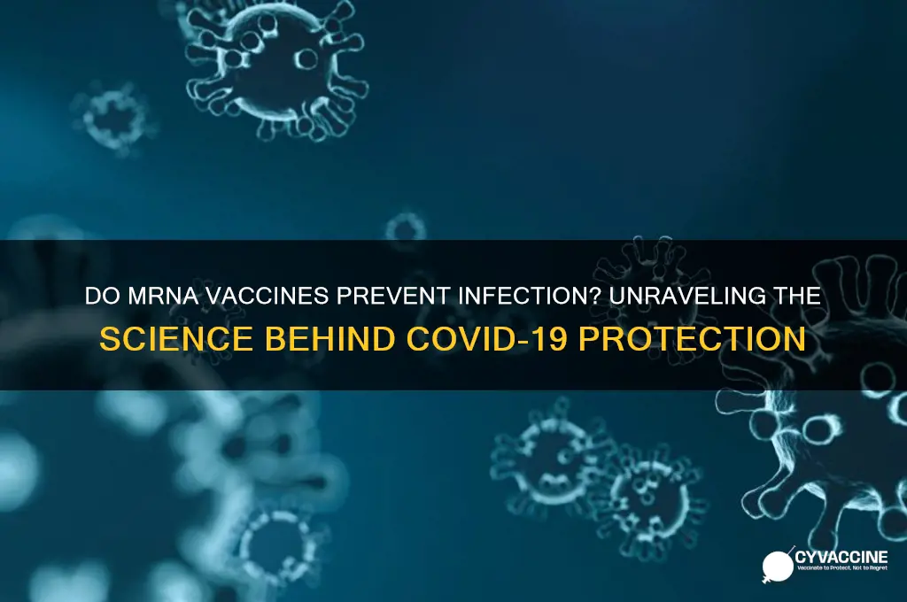 do the mrna vaccines prevent infection