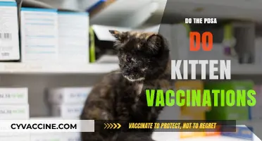 Do PDSA Offer Kitten Vaccinations? Essential Pet Health Guide