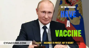 Russia's COVID-19 Vaccine: Development, Efficacy, and Global Implications Explored