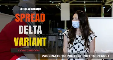 Vaccinated Individuals: Delta Variant Transmission Risks and Realities
