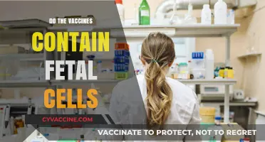 Vaccines and Fetal Cells: Separating Fact from Fiction