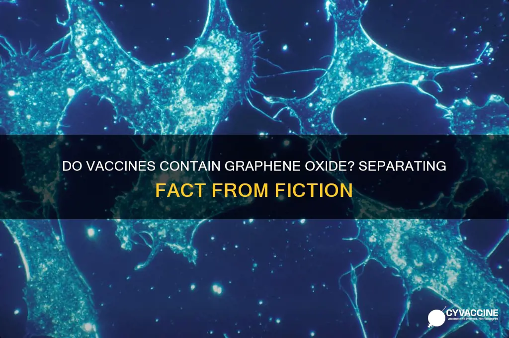 do the vaccines contain graphene oxide