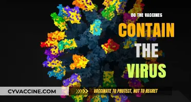 Do Vaccines Contain the Virus? Unraveling the Myths and Facts