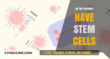 Vaccines and Stem Cells: Separating Fact from Fiction in Immunization