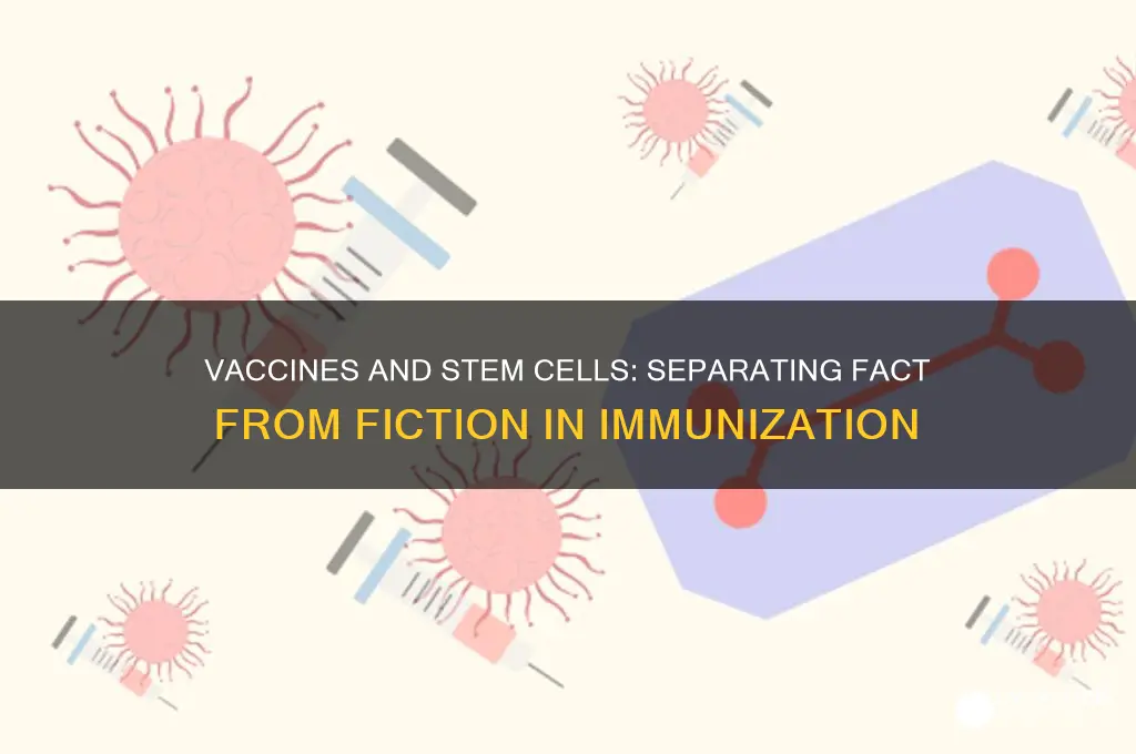 do the vaccines have stem cells