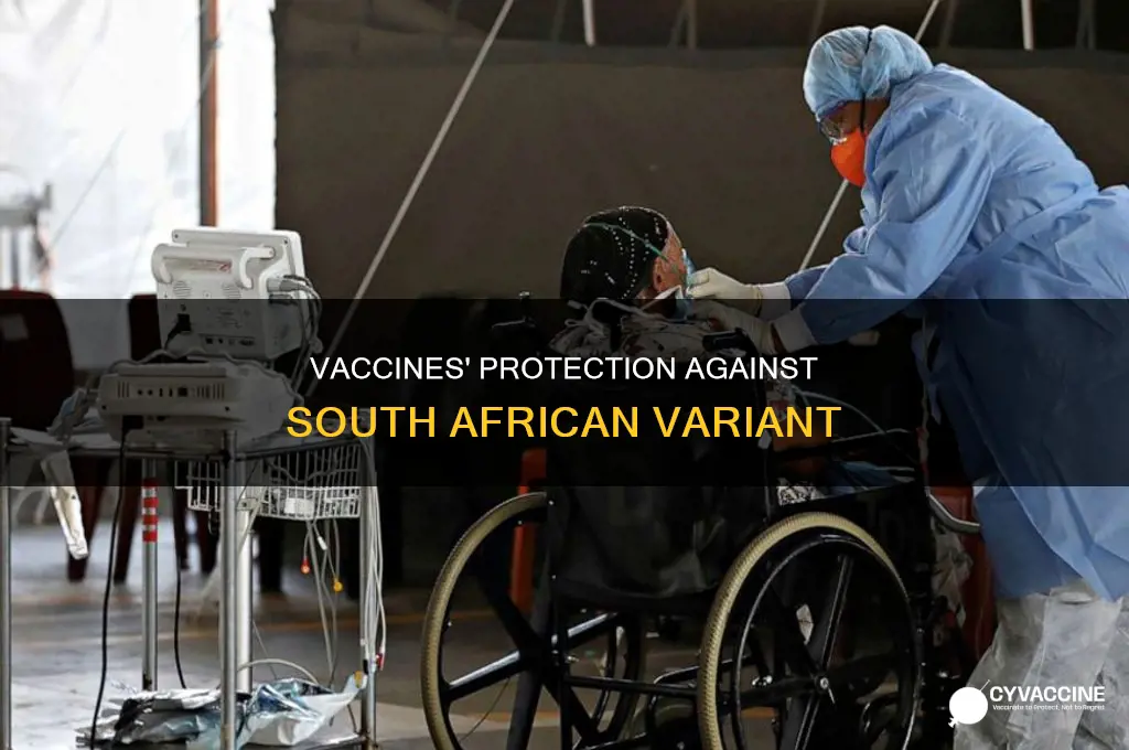 do the vaccines protect against south african variant