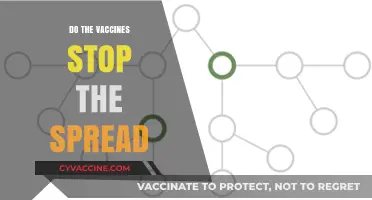 Do Vaccines Halt COVID-19 Transmission? Unraveling the Science Behind Spread Prevention