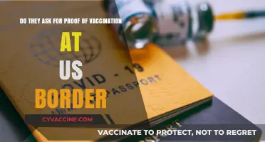 Vaccination Proof: What's Required at US Borders?