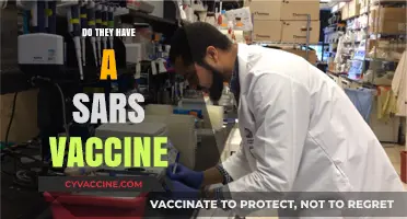 Does a SARS Vaccine Exist? Exploring Current Research and Developments