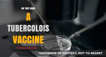 Tuberculosis Vaccine: Availability, Effectiveness, and Global Impact Explained