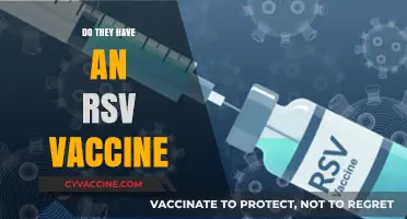 RSV Vaccine Availability: What You Need to Know Now