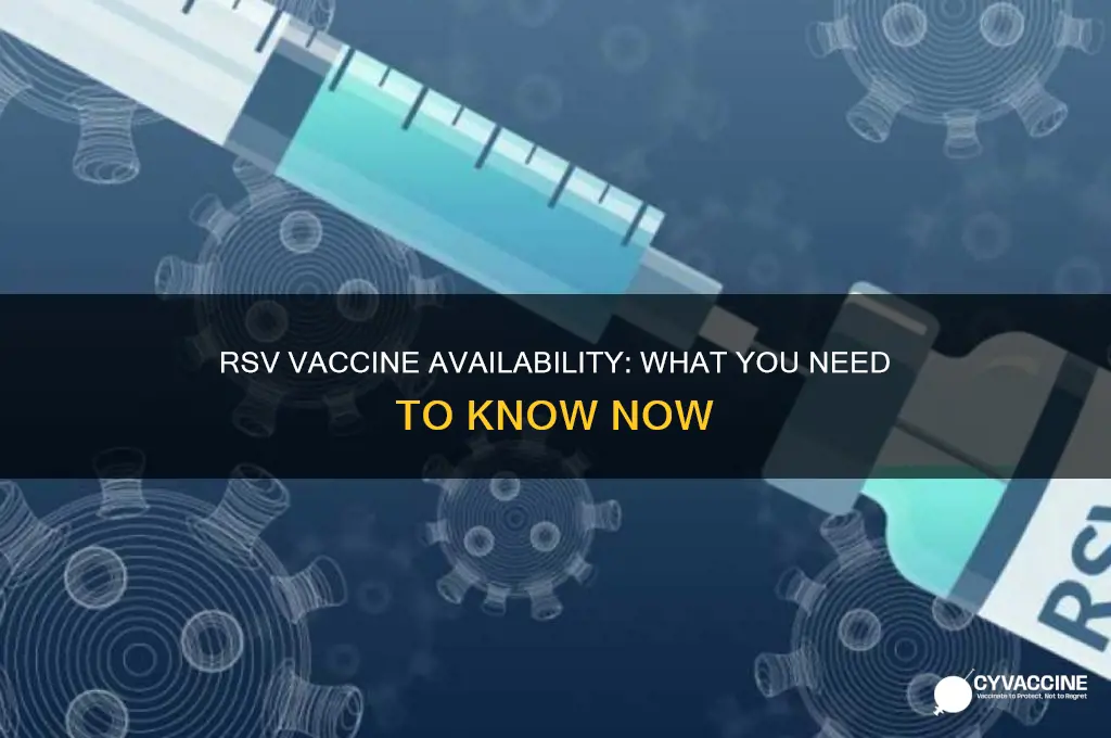 do they have an rsv vaccine