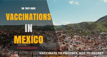 Vaccinations in Mexico: Availability, Accessibility, and Public Health Insights