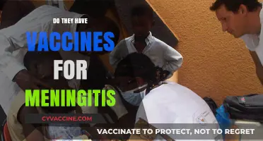 Do Vaccines Exist for Meningitis? Exploring Prevention and Protection