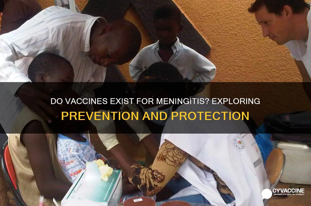 do they have vaccines for meningitis