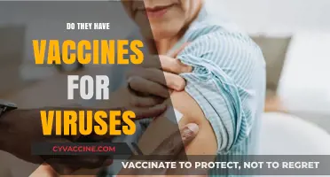 Do Vaccines Exist for Viruses? Exploring Prevention and Immunity