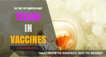 Vaccine Ingredients: Baby Tissue?