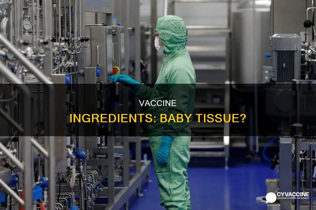 do they put aborted baby tissue in vaccines