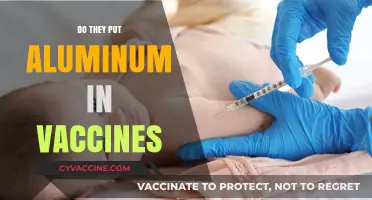 Aluminum in Vaccines: Separating Fact from Fiction and Misinformation