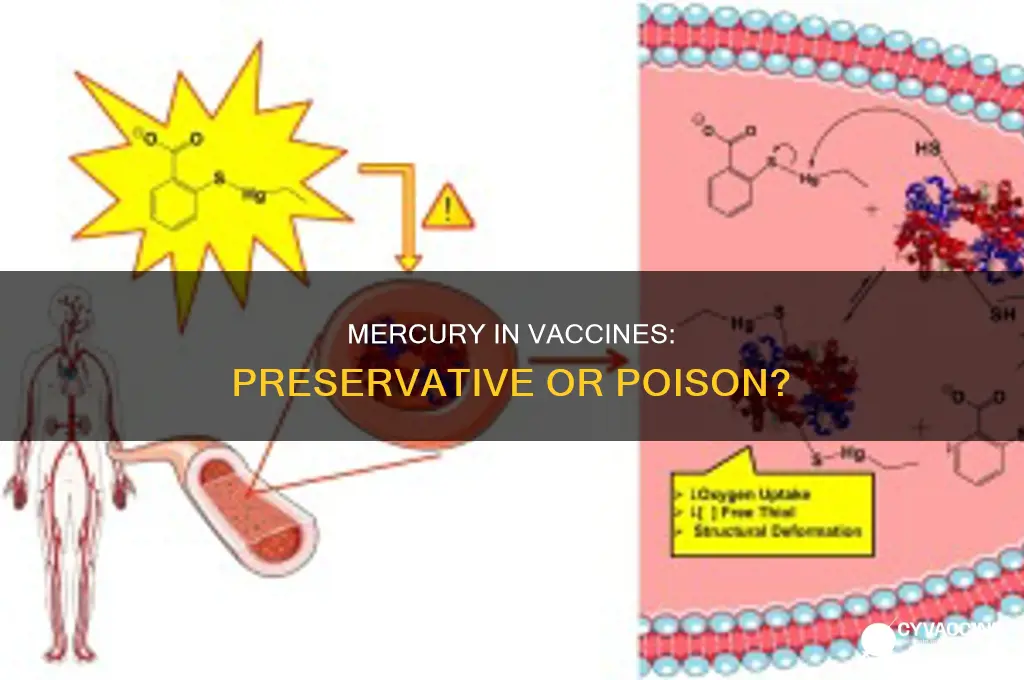 do they put mercury in vaccines to preserve them