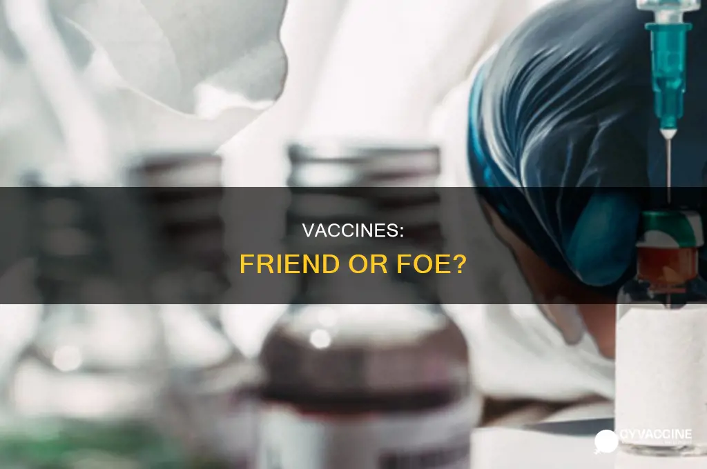 do they put the virus in the vaccine
