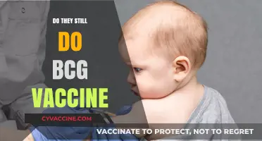 Is the BCG Vaccine Still Administered Today? A Current Overview