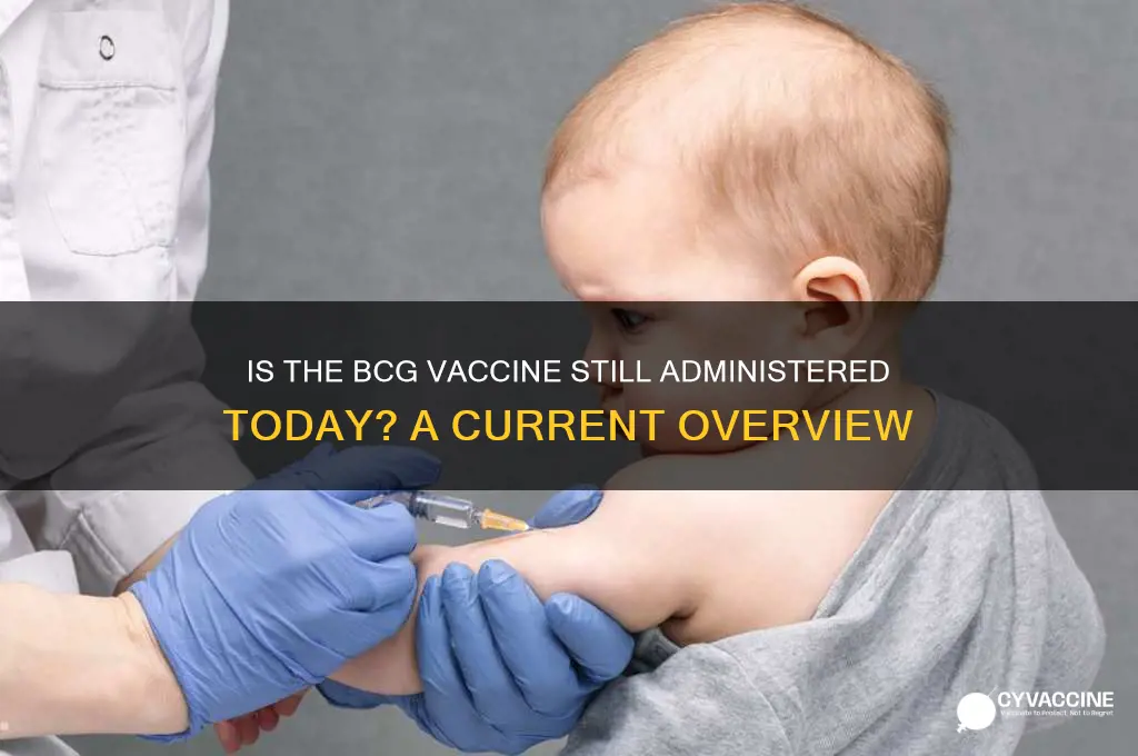 do they still do bcg vaccine