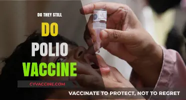 Is the Polio Vaccine Still Administered Today? What You Need to Know