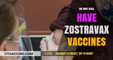 Is Zostavax Still Available? Exploring Shingles Vaccine Options Today