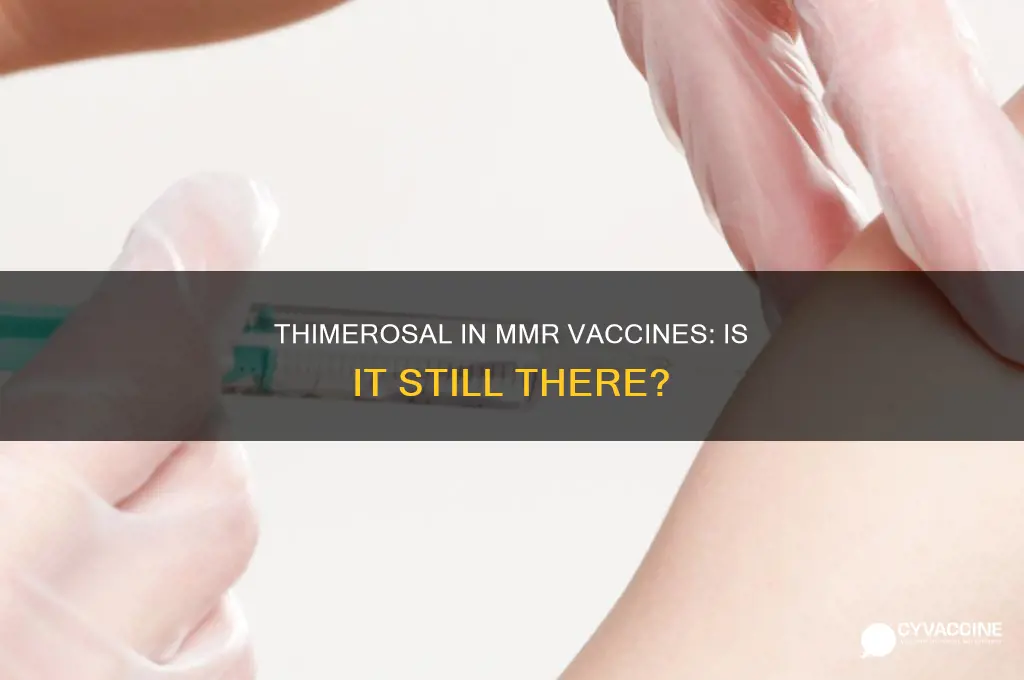 do they still put thimerosal in mmr vaccines