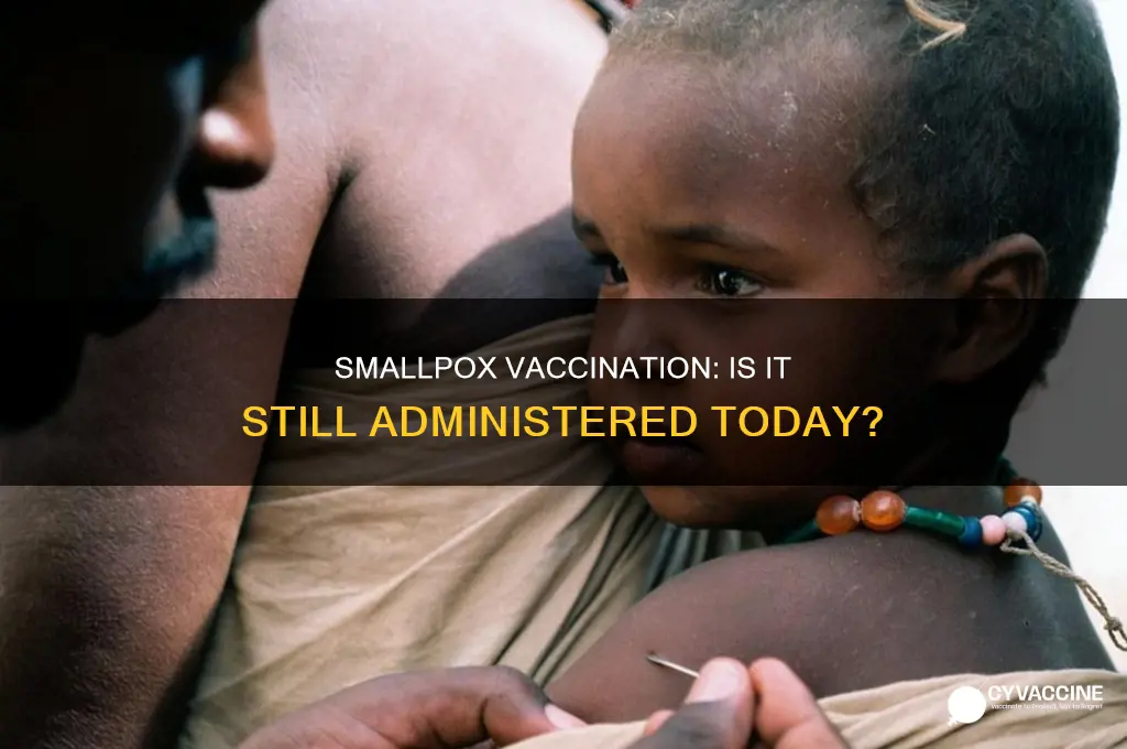 do they still vaccinate for smallpox