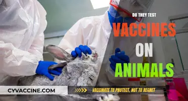 Are Vaccines Tested on Animals? Unveiling the Ethical Dilemma