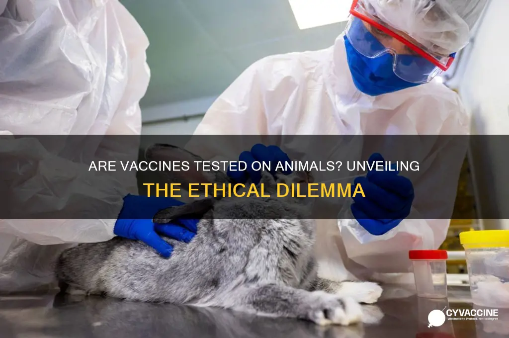 do they test vaccines on animals