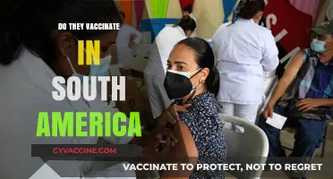 South America's Vaccination Practices: What You Need to Know