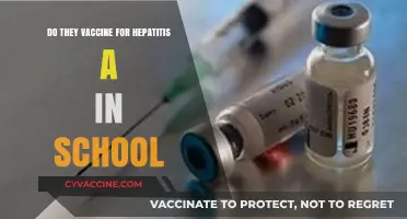 Hepatitis A Vaccination: Should Schools Take the Lead?