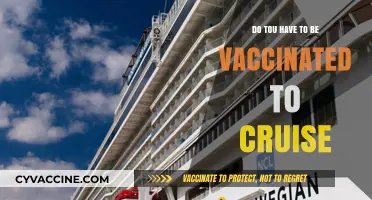 Cruising Soon? Vaccination Requirements You Need to Know