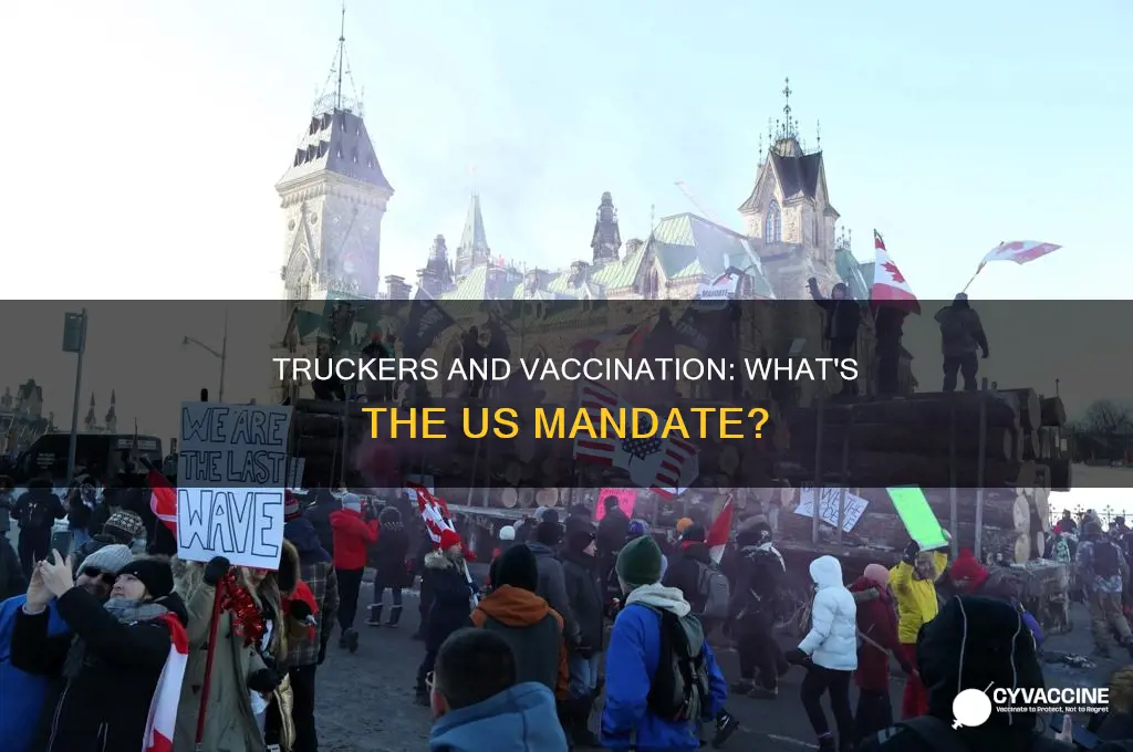 do truckers have to be vaccinated in the us