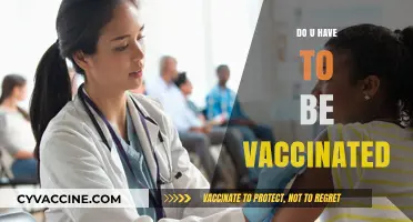 Vaccination Choice: Understanding the Necessity and Personal Decision Factors
