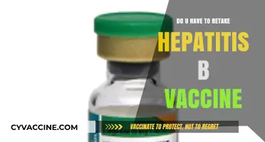 Hepatitis B Vaccine: When and Why to Retake It