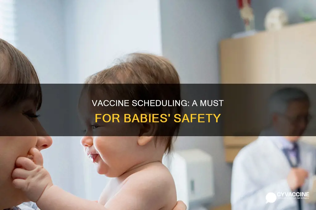 do u have to schedule your babies vaccines