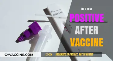 Can You Test Positive After COVID-19 Vaccination? Facts Explained