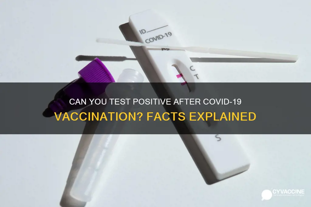 do u test positive after vaccine