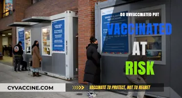 Vaccinated vs. Unvaccinated: Assessing the Risk of Transmission and Immunity